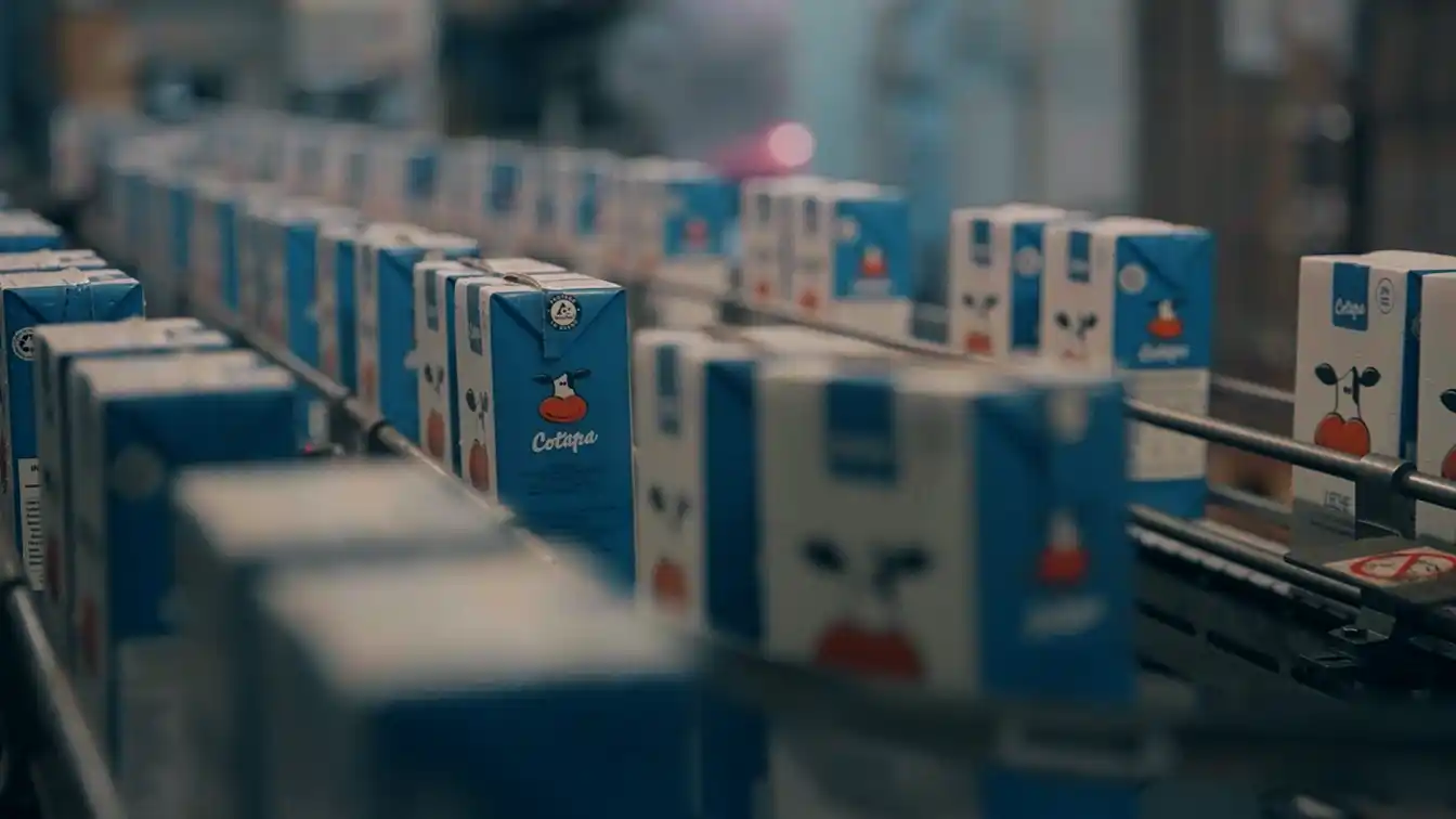 Cotapa celebra 61 años de historia con nuevos proyectos