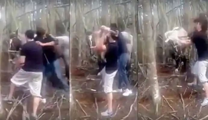 Una ONG representará en un juicio a un caballo que fue asesinado a martillazos