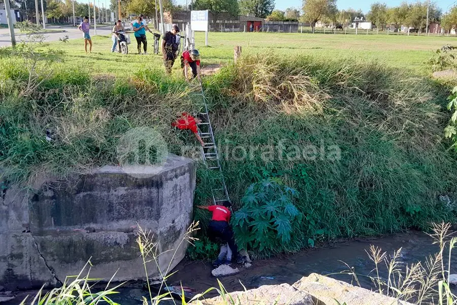 Un hombre tuvo que ser rescatado en el norte de la ciudad por una insólita situación