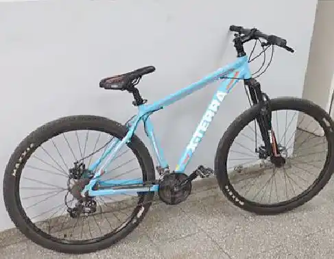 Recuperaron una bicicleta robada