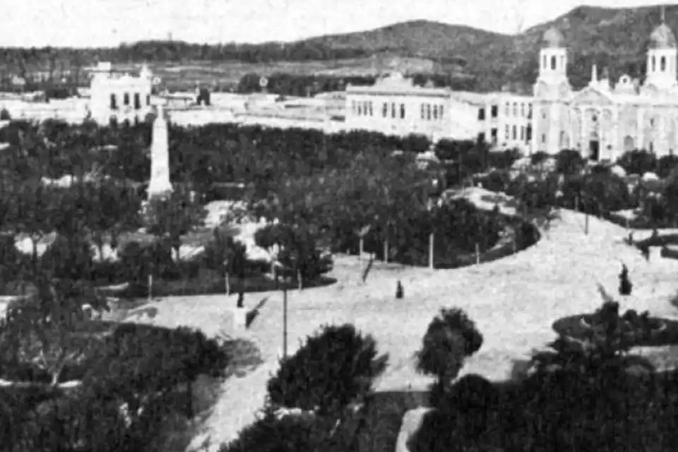 El plan para sacar en 1880 las mulitas, vizcachas y peludos que habitaban en la Plaza Independencia