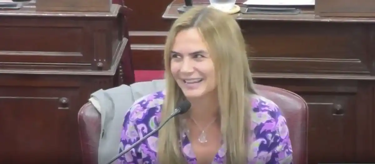 Atentado a Cristina Kirchner: por sus polémicos dichos, pedirán la remoción de la Cámara de Diputados de Amalia Granata