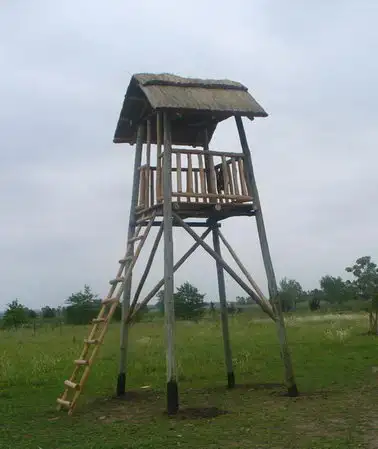 Mangrullo