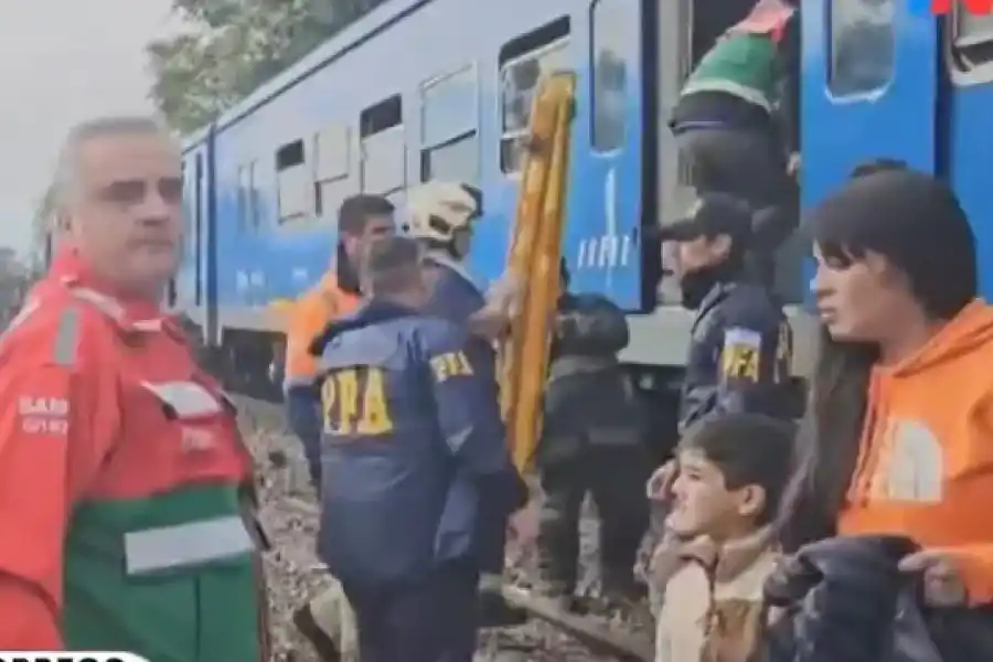 Descarriló un tren de la línea San Martín y chocó con otra formación vacía: hay varios heridos