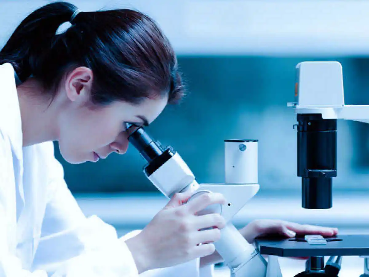 Sólo el 33% de las mujeres  argentinas integran el universo  de ingeniería y ciencia                  