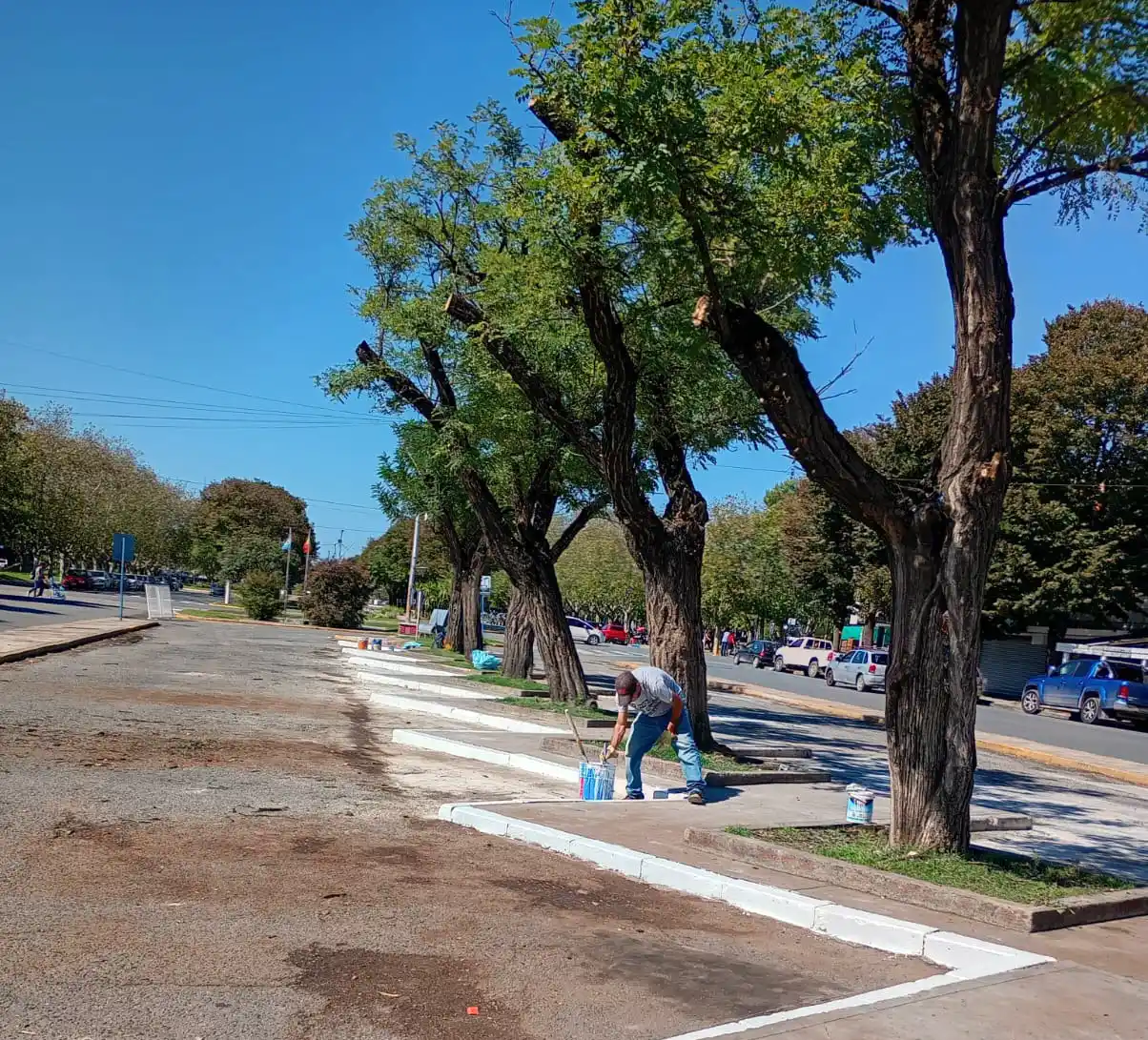 Se sumó. El pintado de los cordones
