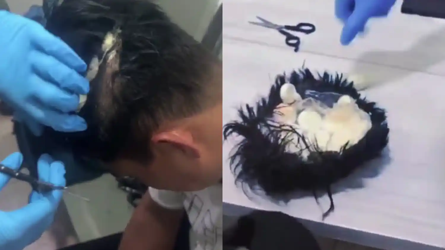 La narcopeluca, incluso, sorprendió a las autoridades