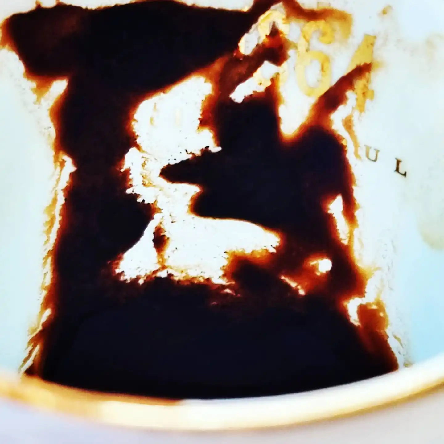 borra de cafe viral - 1