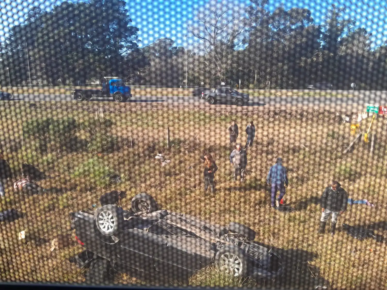 Sucedió a la altura de El Sosiego, ya que el tren había partido hace pocos minutos de la ciudad. (Imagen de El Marplatense)