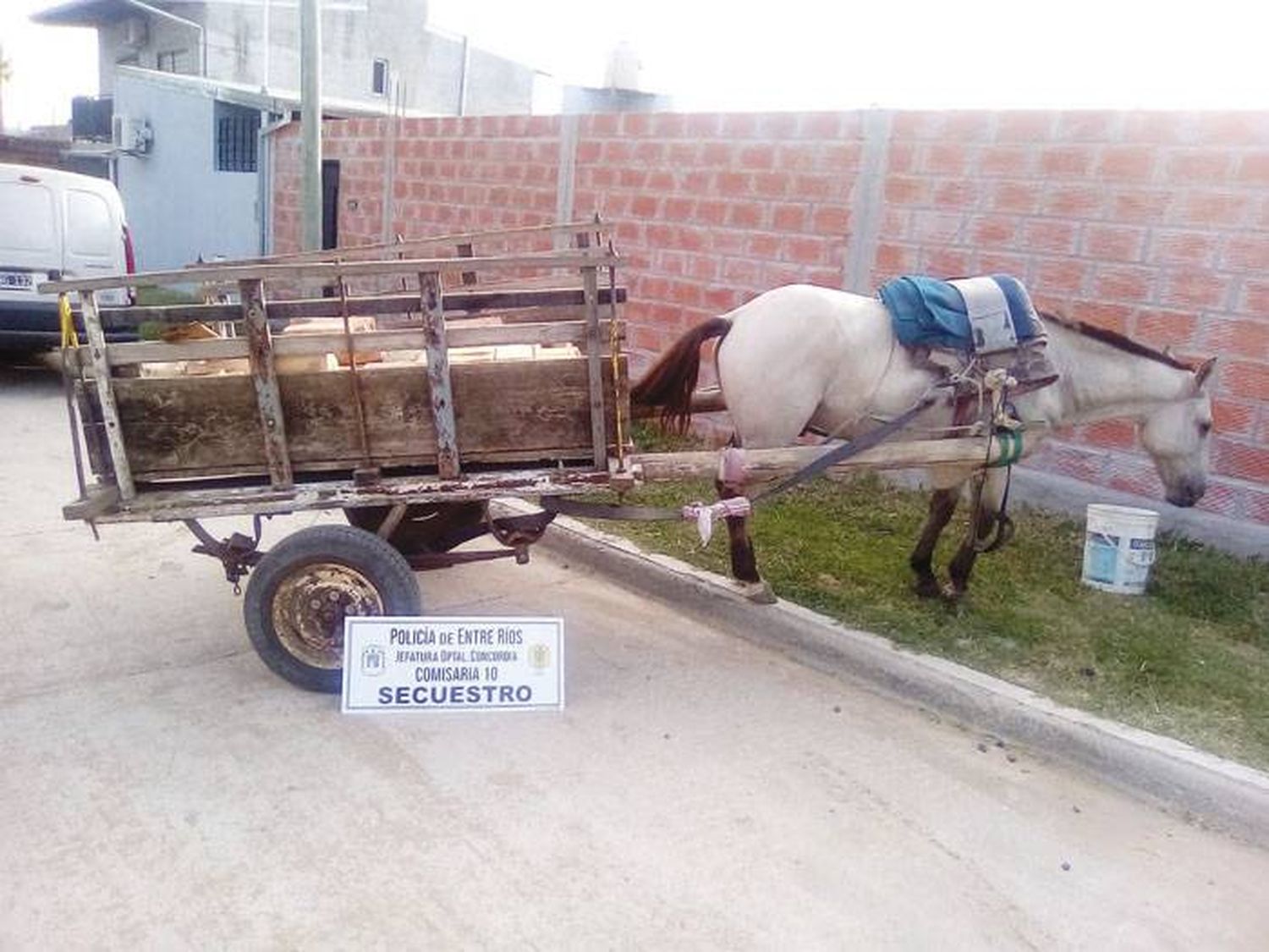 Maltrato animal y robo: tres personas sustraen ladrillos usando tracción a sangre