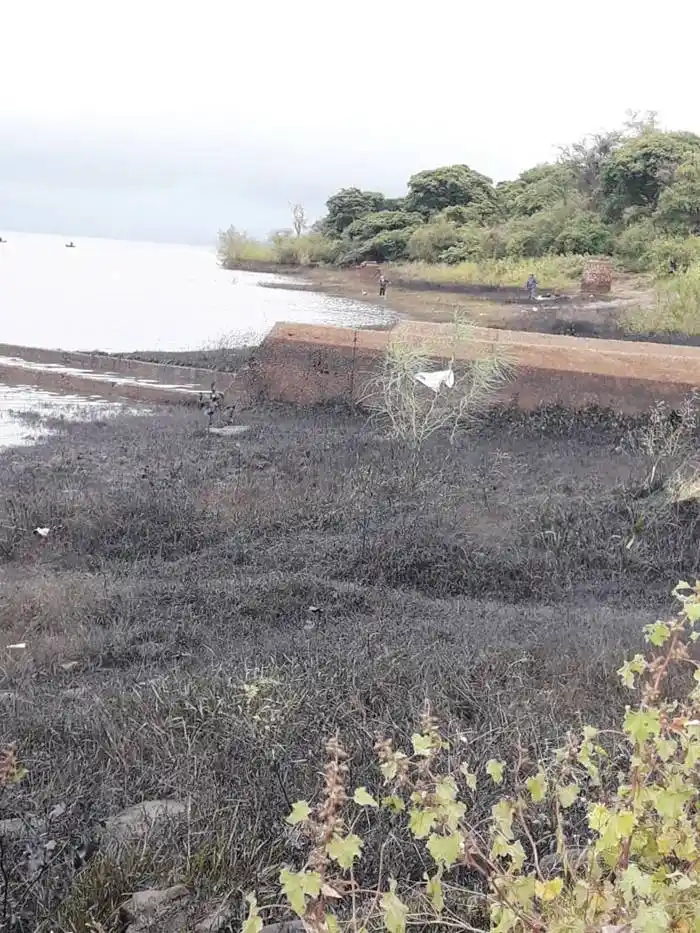 Una mancha viscosa de combustible o aceites, fue detectada a orillas del río Uruguay