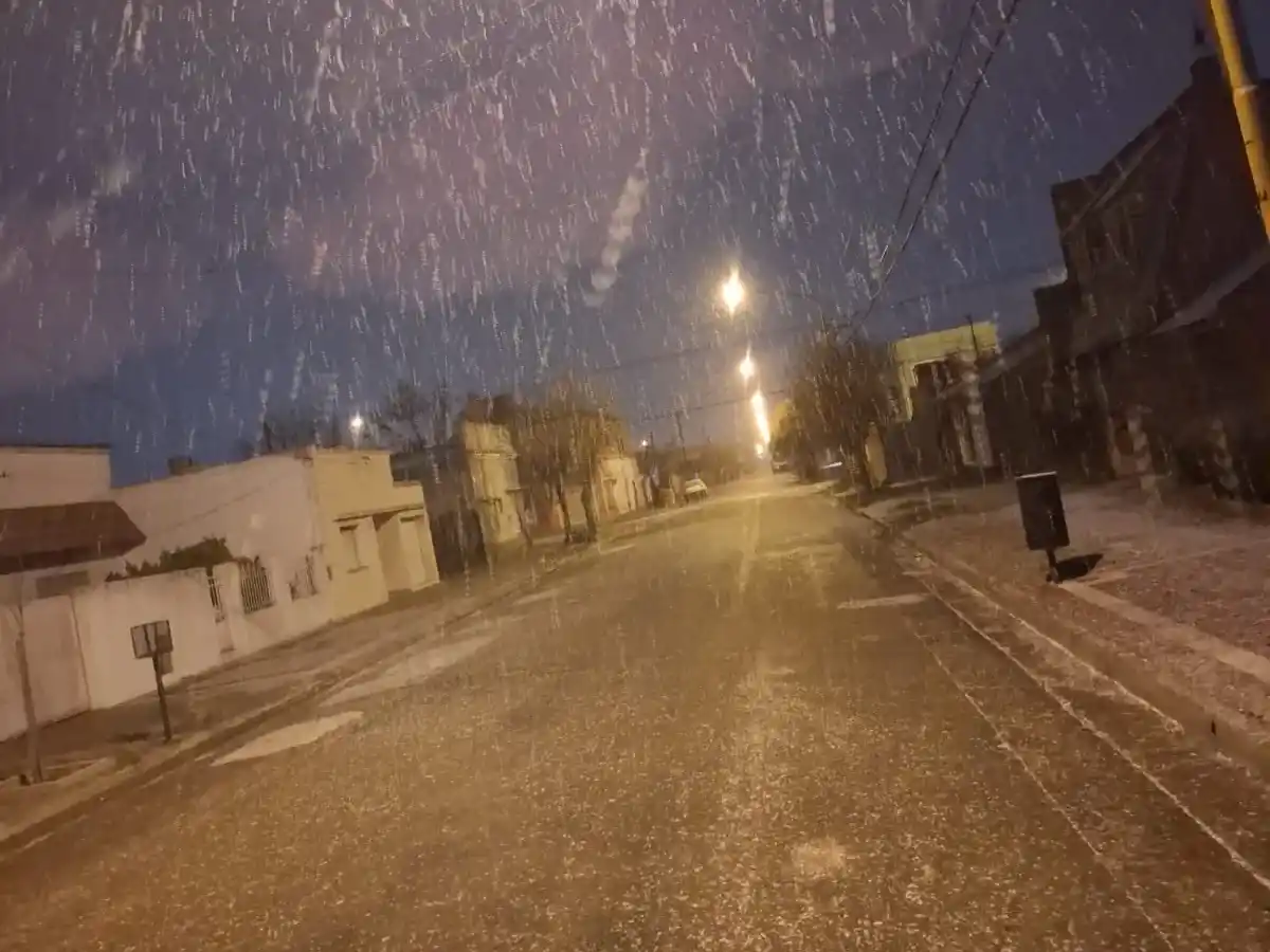 Nieve