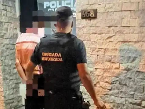 Una vecina se encontró con un intruso en su casa: al verse descubierto, saltó el tapial y escapó