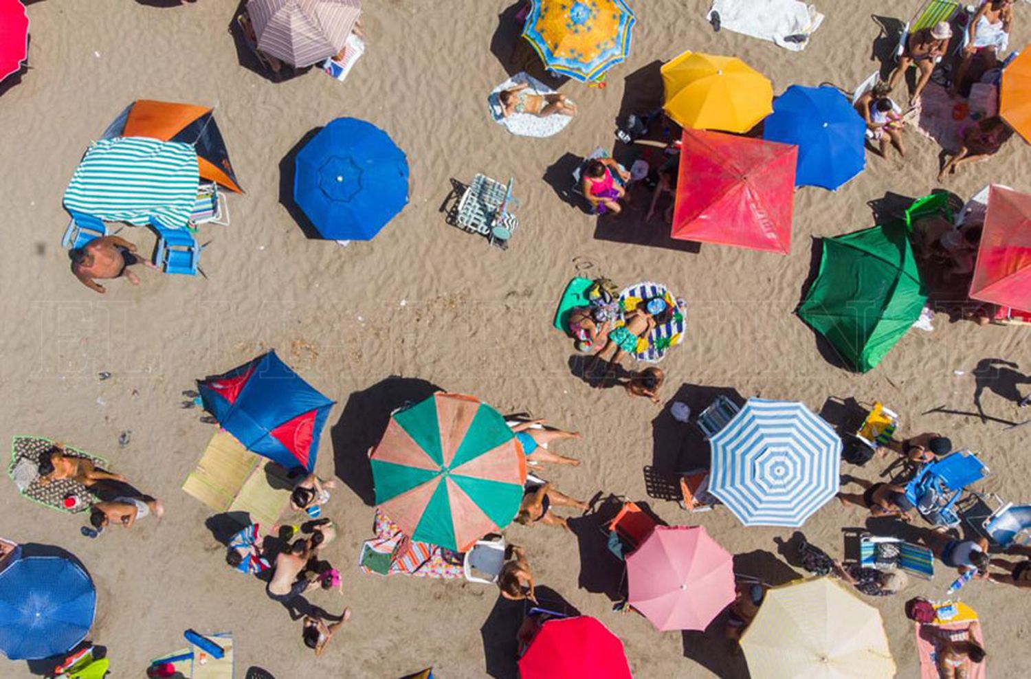 Una jornada para pasarla en la playa