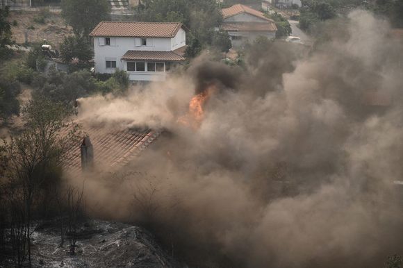 ¡MIGRANTES ILEGALES ENTRE LAS VÍCTIMAS! Van 20 muertos por ola de incendios en Grecia