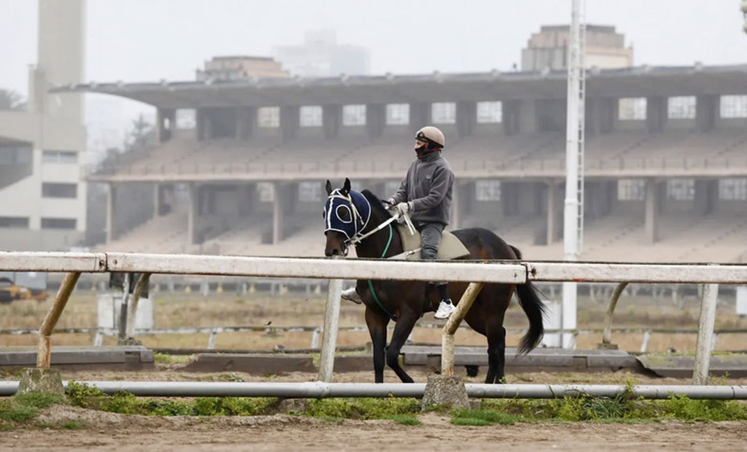 Martes 29: Actividad Hipódromo de La Plata