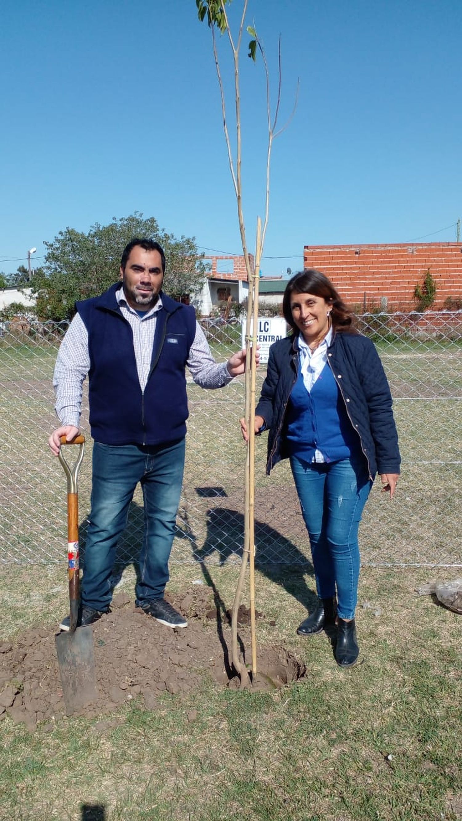 Ambiente continúa con la campaña "Un árbol para tu Institución"