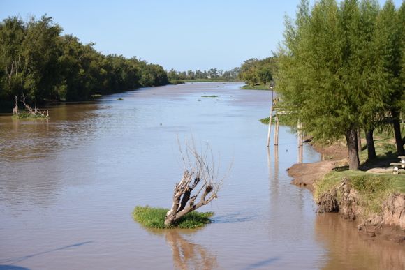 Río Paraná: "Prevalece la tendencia descendente"