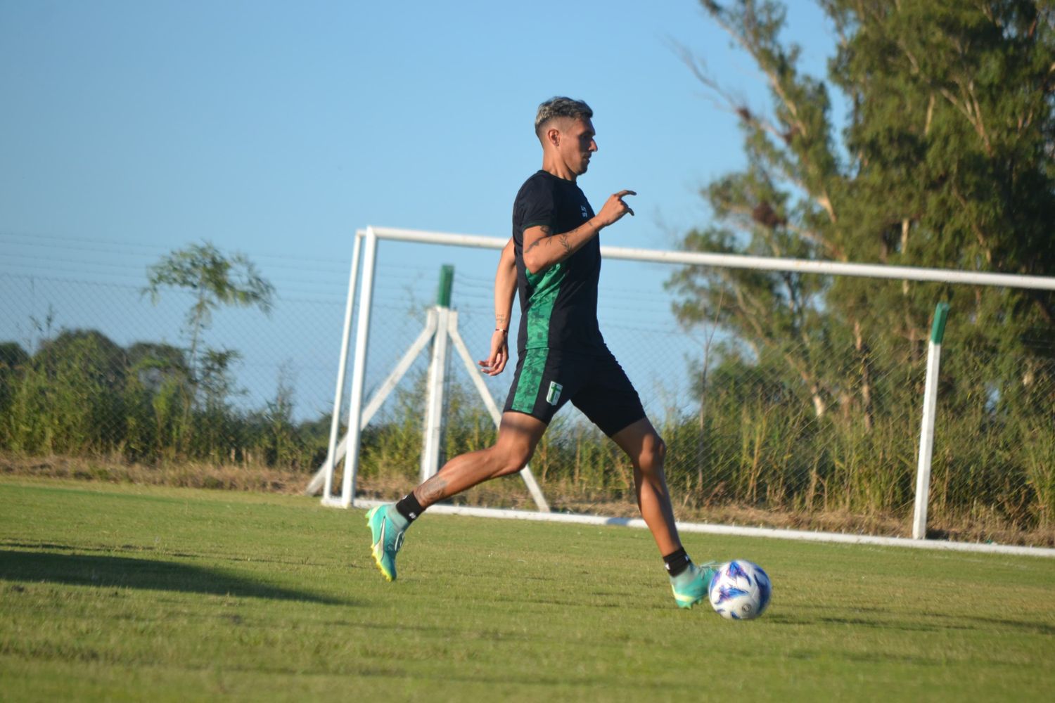 Enzo Avaro