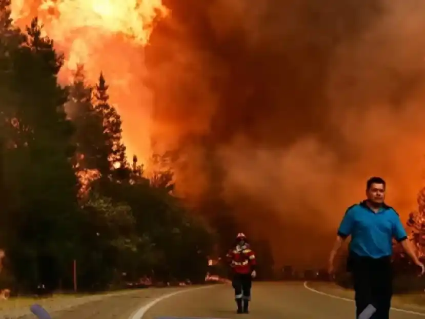 Se elevó a 19 el número de fallecidos por los incendios en el sur de Chile.
