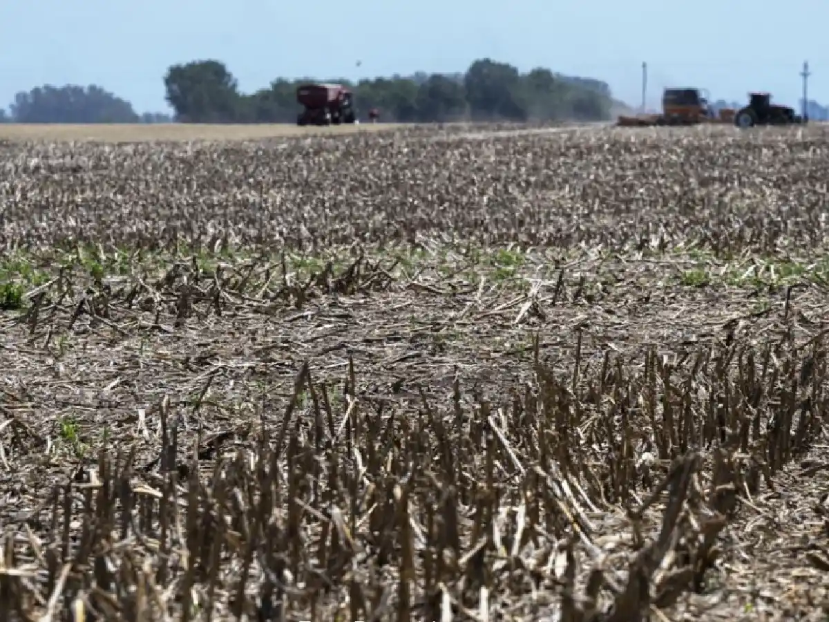 Prevén el fin de La Niña en febrero y esperan lluvias para la próxima quincena