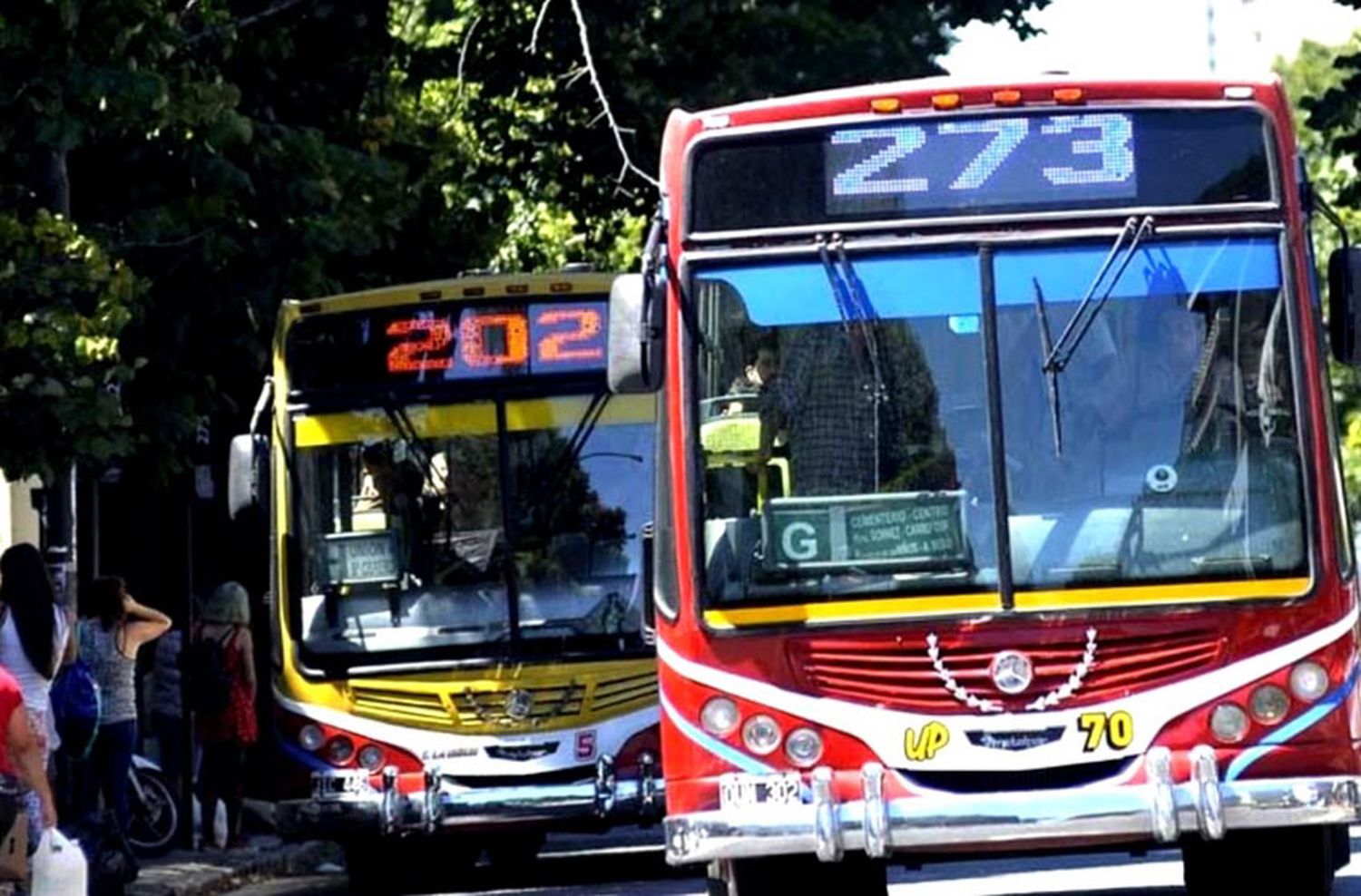 Incorporan protocolo para la desinfección con ozono en colectivos de Berisso