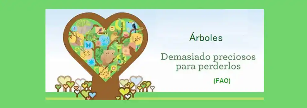 El valor del árbol... ¿puede llegar a 190.000 dólares?