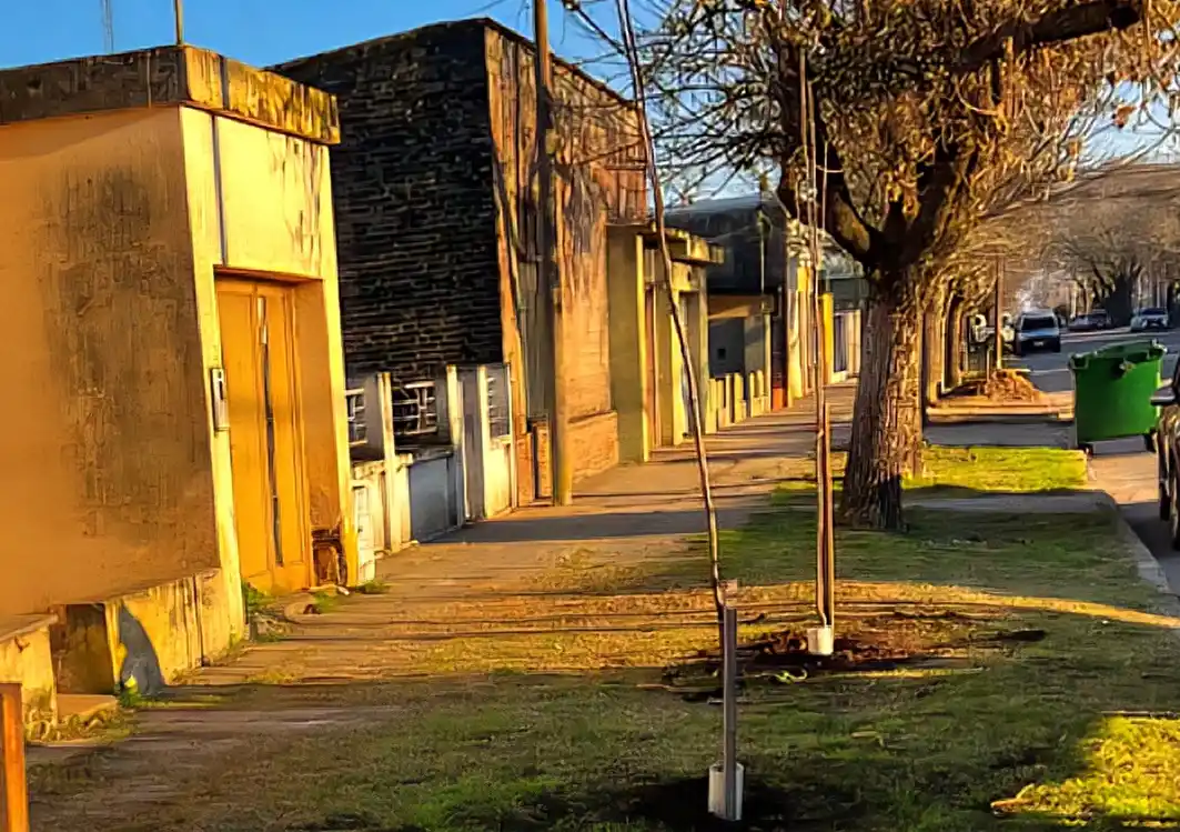 arbolado villa cañás - 2