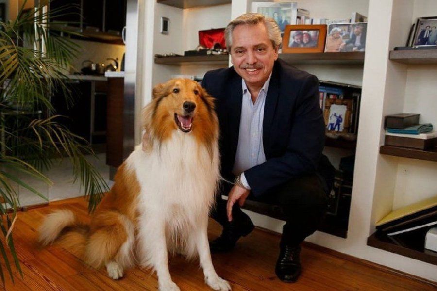 Murió Dylan, el perro de Alberto Fernández