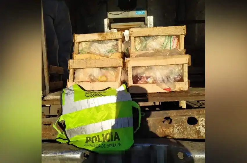 Decomisaron varios cajones de pollo que no eran aptos para el consumo
