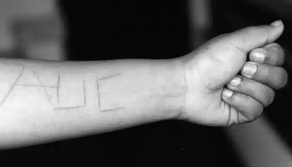 Paramilitar dirigió la operación Orión ordenada por Álvaro Uribe