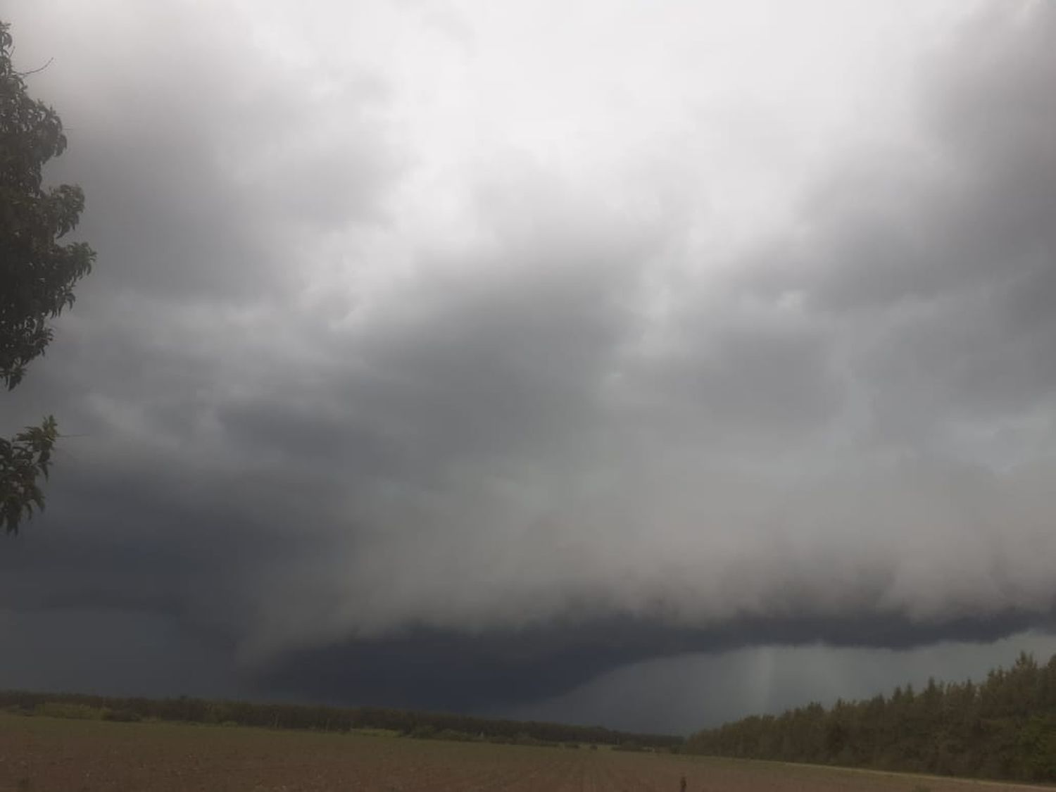 “Así se viene la tormenta”