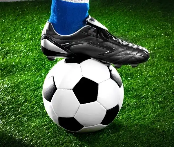 Dolores, enojos y armonías