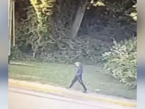 delincuente por robo agravada grabado en las cámaras