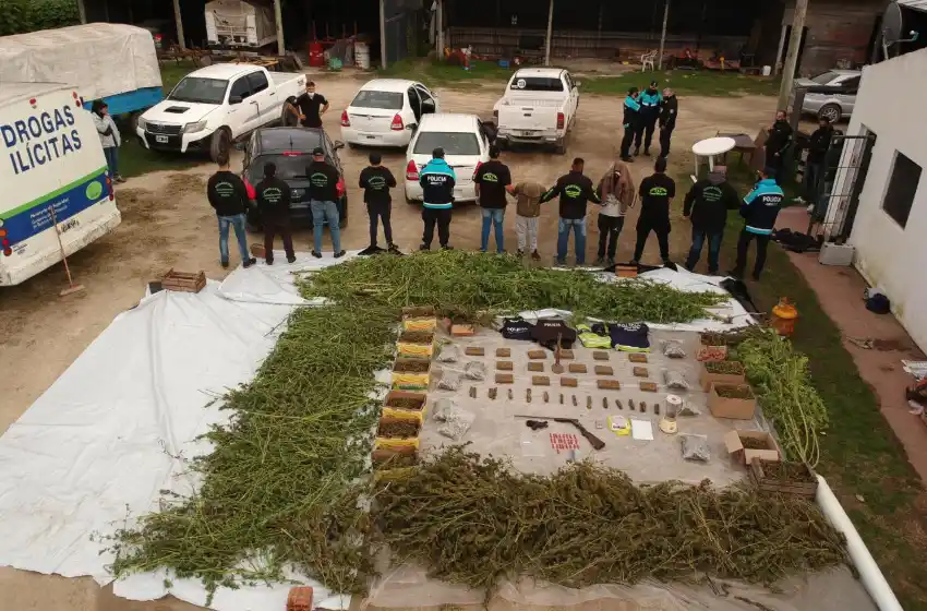 Desbaratan un importante invernadero con plantaciones de marihuana en el barrio Parque Palermo