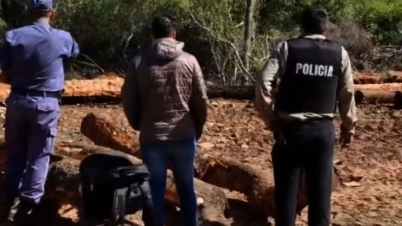 Detectaron una tala ilegal de quebracho colorado en Ingeniero Juárez
