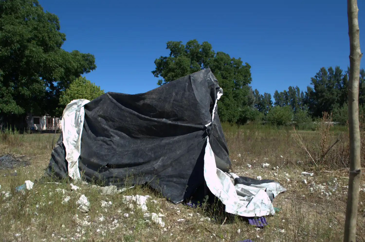 usurpación 25 viviendas construcción precaria