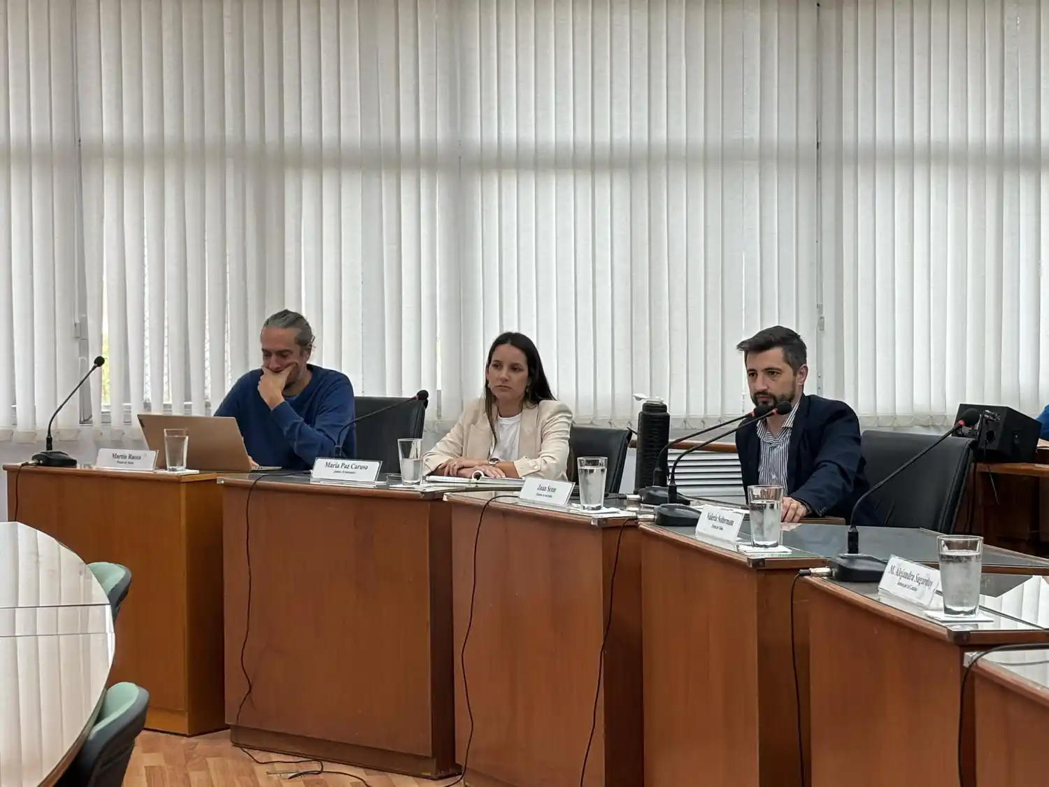 El Concejo Municipal abordó el tema de ruidos molestos - 2