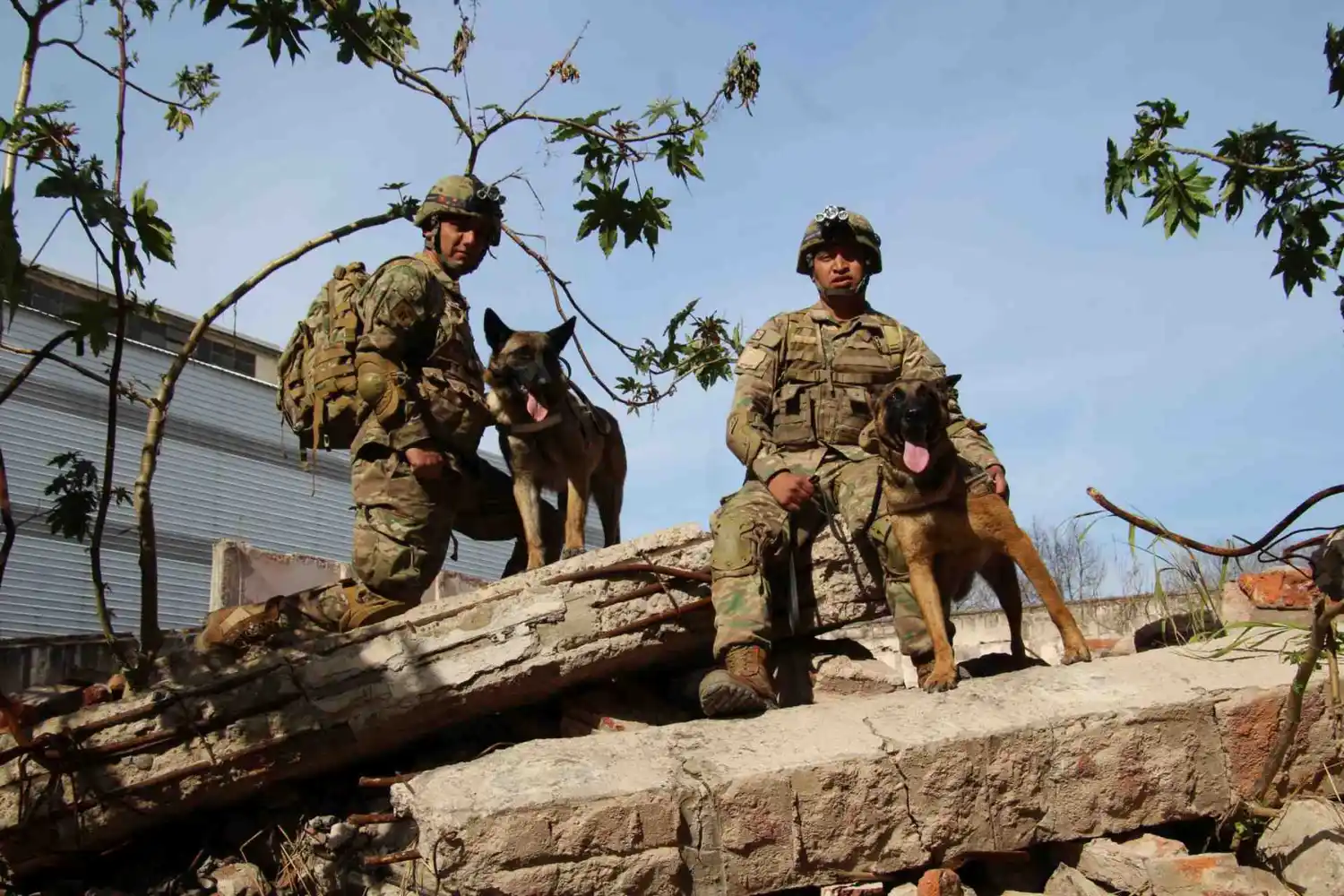 El emotivo video del Ejército por el Día del Perro: "Parte del corazón de nuestras Fuerzas, que acompañan el deber de proteger la Patria"