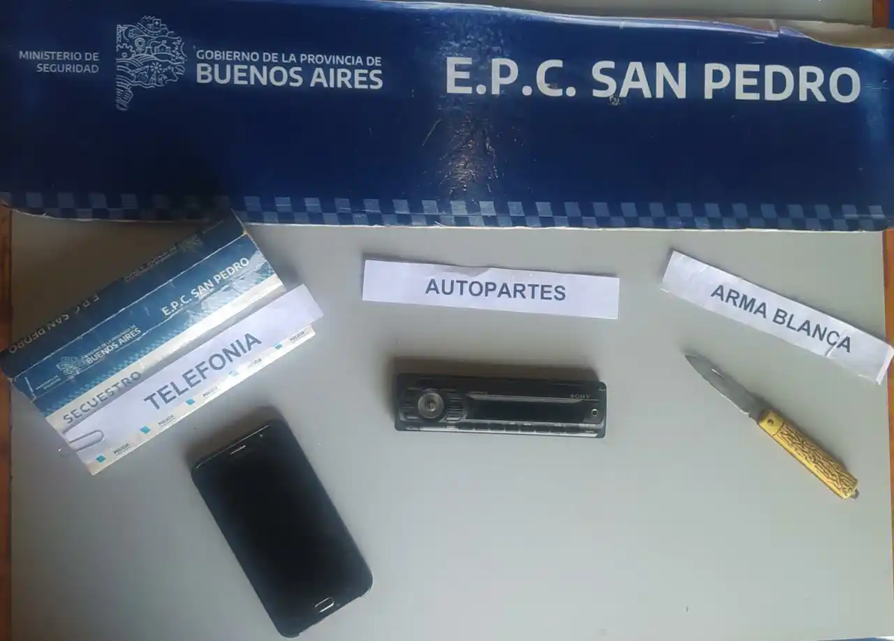 Detuvieron a cuatro adolescentes tras robarles a dos chicas en plaza Constitución