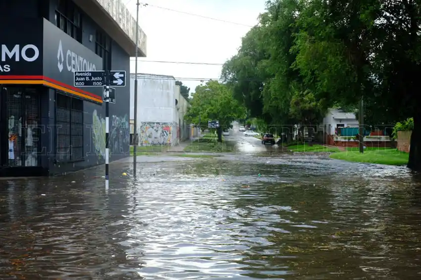 Temporal: al menos 15 árboles caídos, barrios sin luz y anegamientos