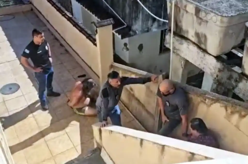 Los hermanos, Marcelo Marchese d’Ottavio y Tania Conceição Marchese d’Ottavio fueron trasladados a unidades psiquiátricas.