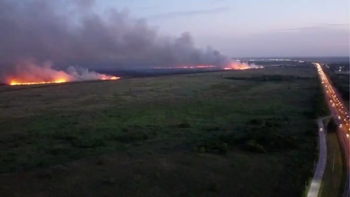 El incendio en un Parque Nacional de Campana ya consumió más de 600 hectáreas