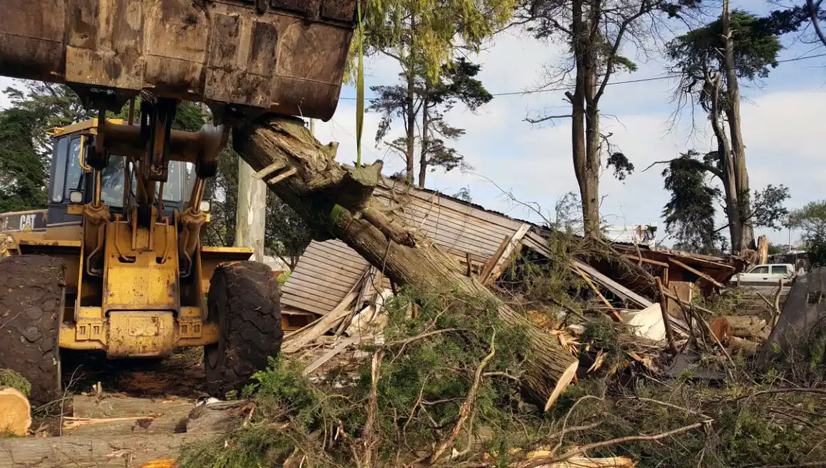 Eduardo Leitao: "Estamos entrando en una situación normal con la poda"