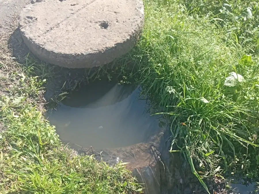 Cloacas rebalsadas en Caseros al 2270