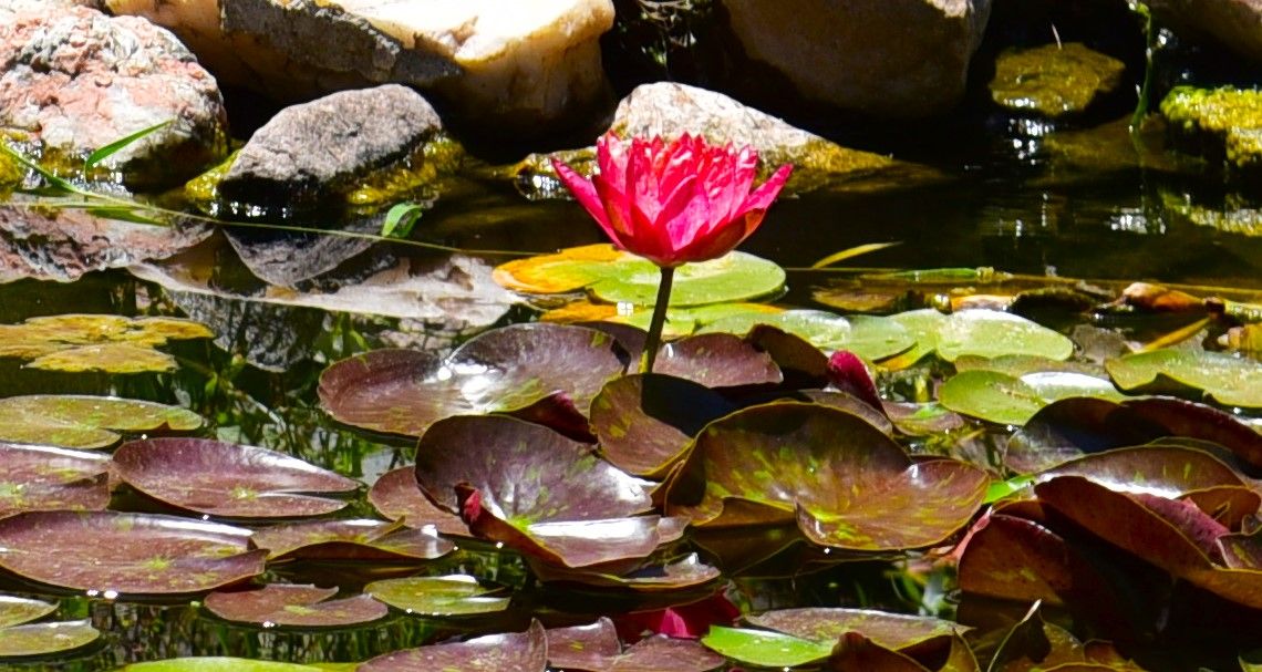 cascada Las Rosas