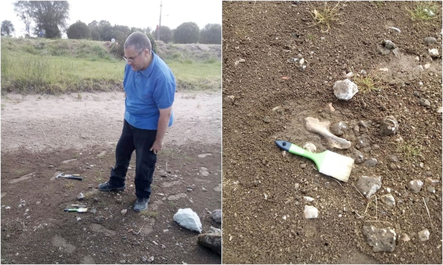 Puán: Hallaron restos de gliptodonte en la laguna de entre 8.500 a 25.000 años antes de Cristo