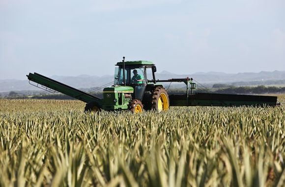 El sector frutihortícola de Mar del Plata enfrenta una nueva crisis por sequías
