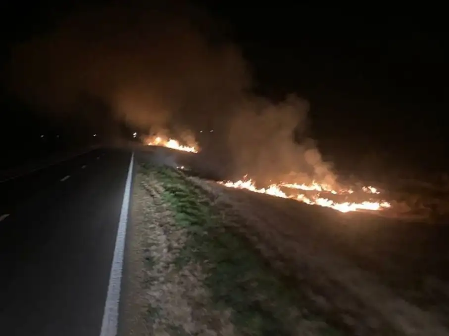El fuego se desató bien cerca de la cinta asfáltica.