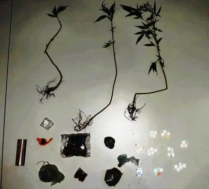 Tras un allanamiento recuperan bienes, secuestran drogas y psicofármacos